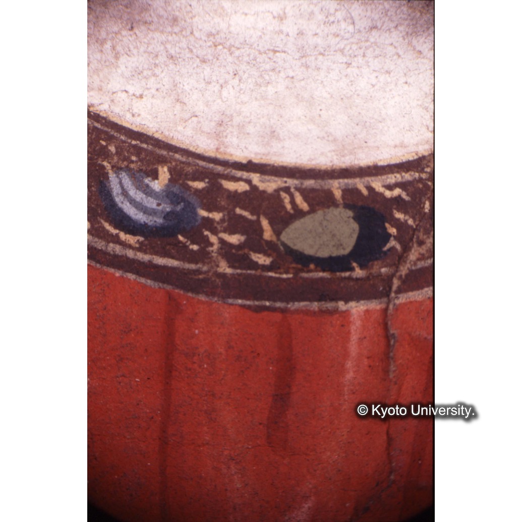 顕微鏡撮影カラー写真（中央上段：マリア胸元） (1)