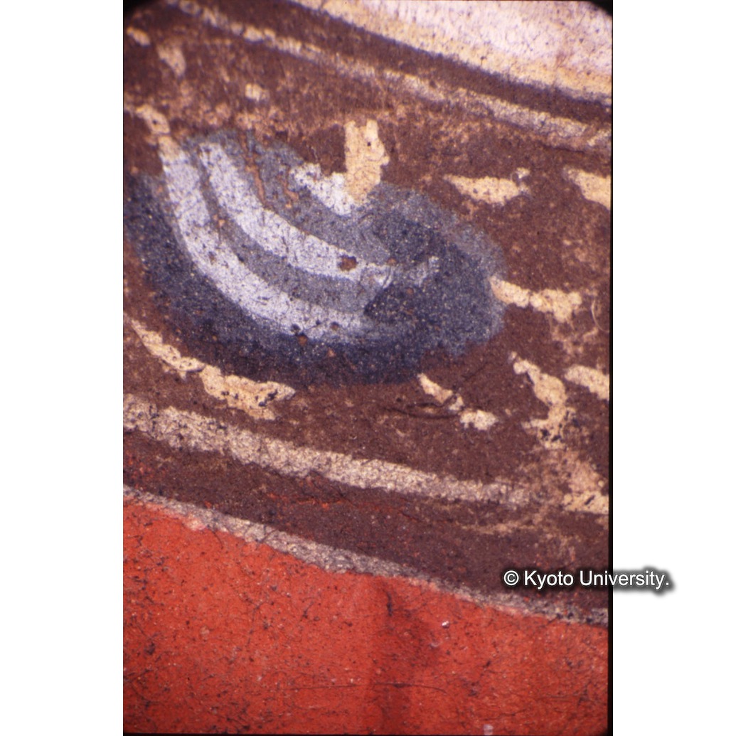 顕微鏡撮影カラー写真（中央上段：マリア宝石） (1)