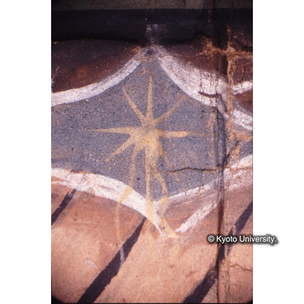 顕微鏡撮影カラー写真（十五玄義第三図：星） (1)