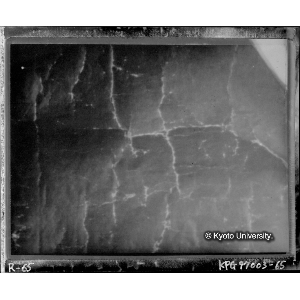 赤外線テレビ撮影画像写真（中央上段） (1)