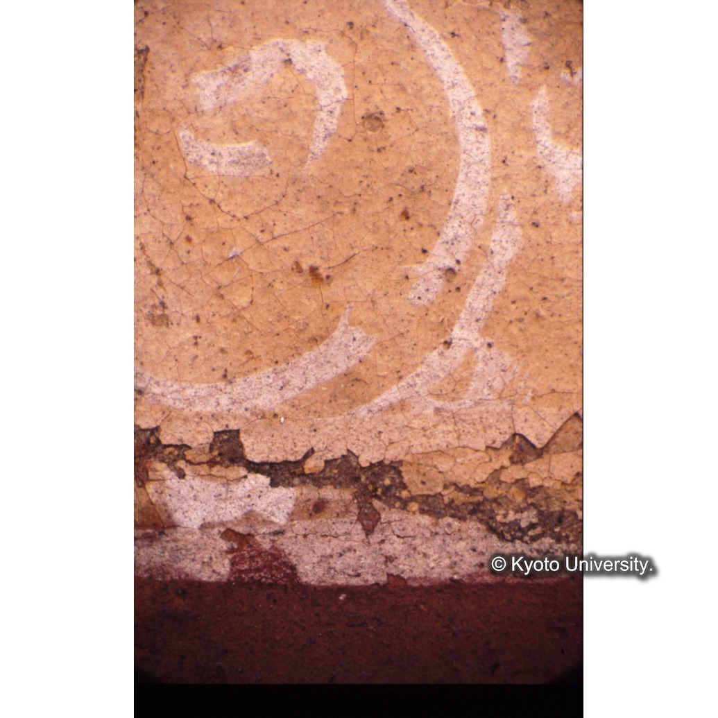 顕微鏡撮影カラー写真（中央上段：カーテン） (1)