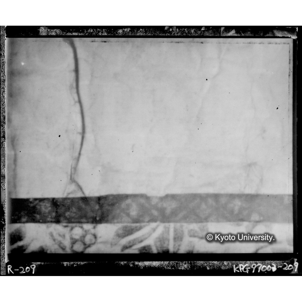 赤外線テレビ撮影画像写真（中央下段） (1)