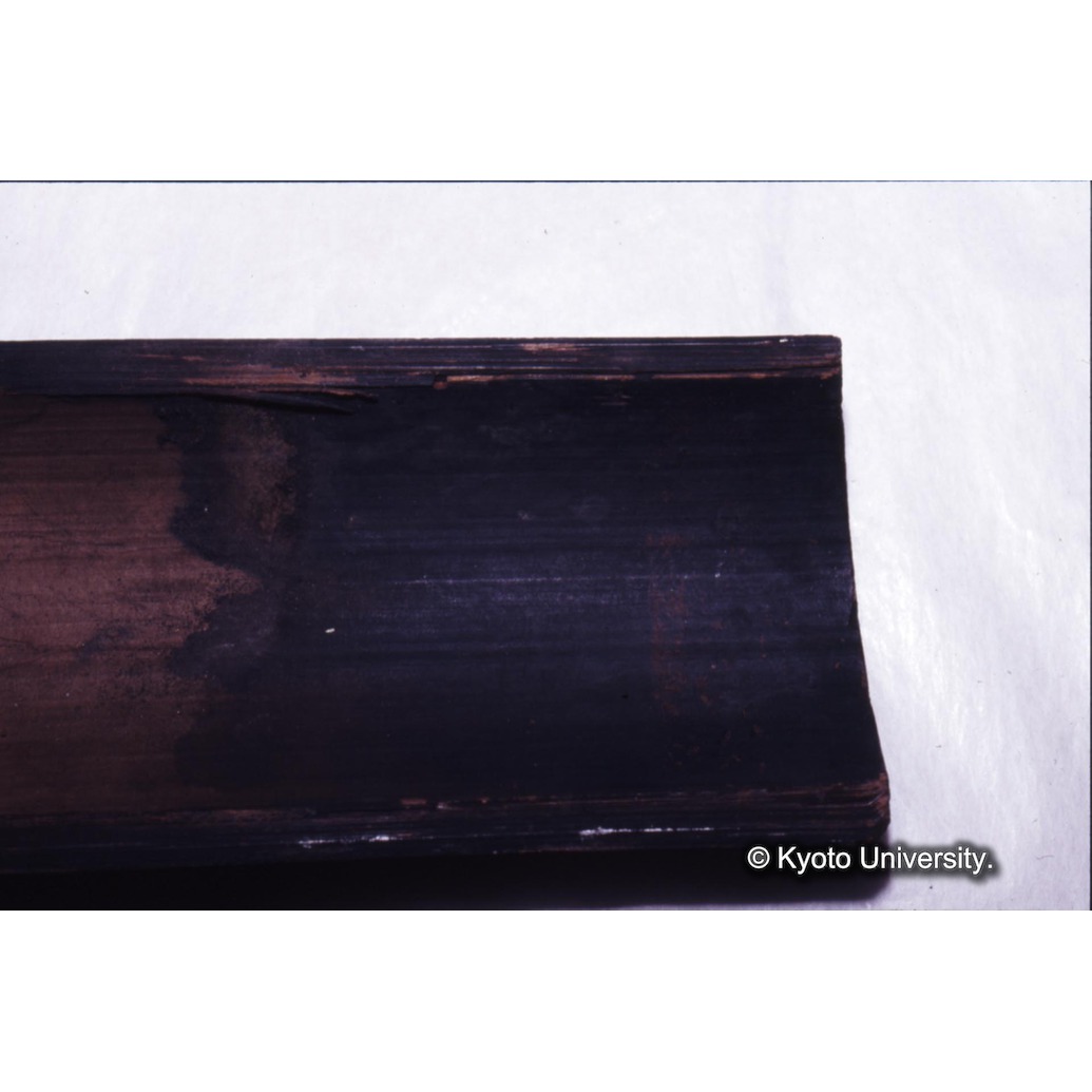 カラー写真（竹筒内側煤） (1)