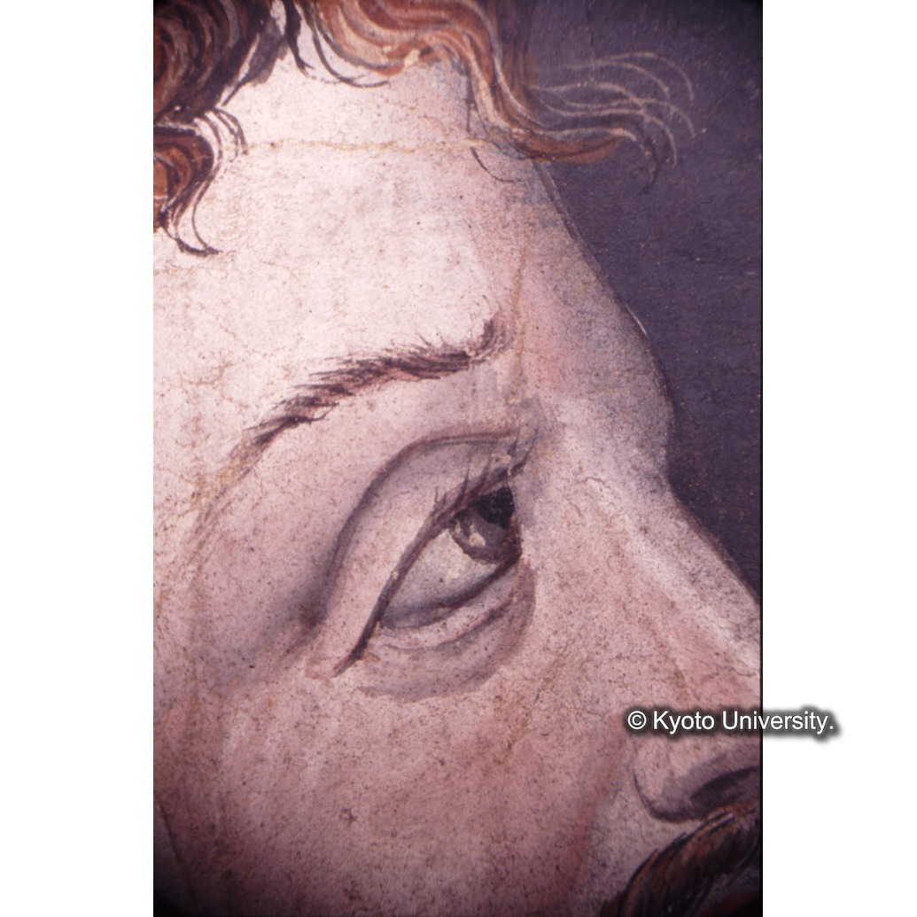 顕微鏡撮影カラー写真（中央下段：マチアス） (1)