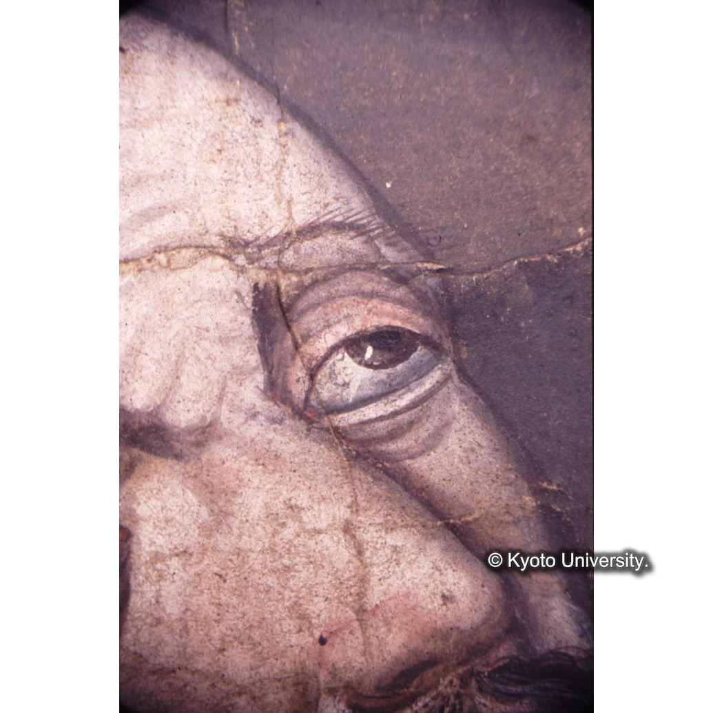 顕微鏡撮影カラー写真（中央下段：ロヨラ） (1)