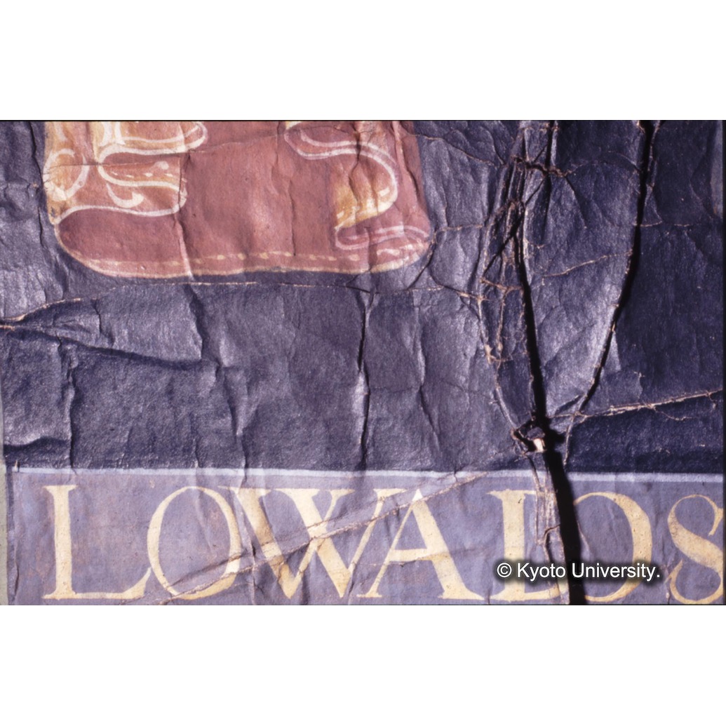 カラー写真（中央上段・中央文字） (1)