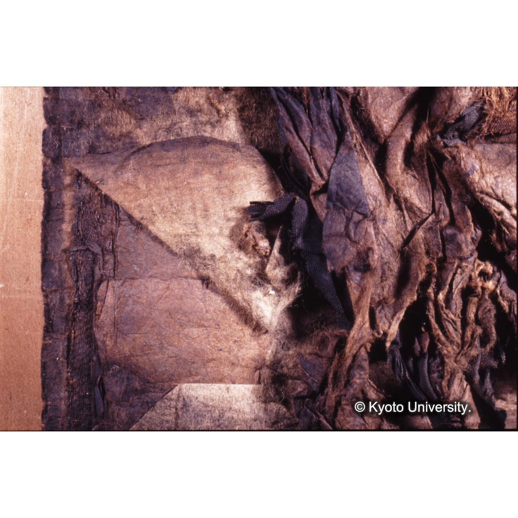 カラー写真（枠付裏面：めくれ） (1)