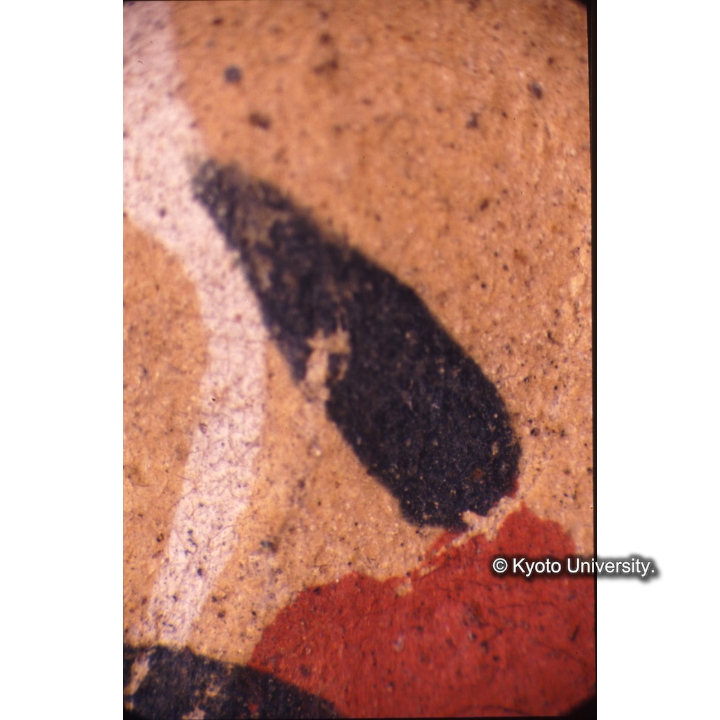 顕微鏡撮影カラー写真（十五玄義第十五図：冠の花・葉） (1)