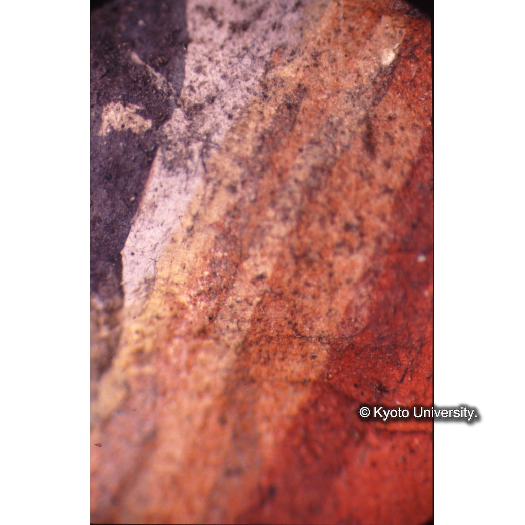 顕微鏡撮影カラー写真（十五玄義第十五図：マリア衣服） (1)