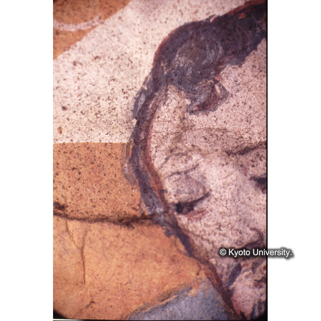 顕微鏡撮影カラー写真（十五玄義第十五図：父なる神） (1)