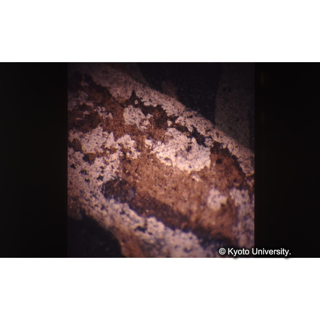 顕微鏡撮影カラー写真（十五玄義第十一図：剥がれ） (1)