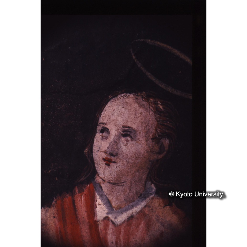 顕微鏡撮影カラー写真（十五玄義第十図：ヨハネ） (1)