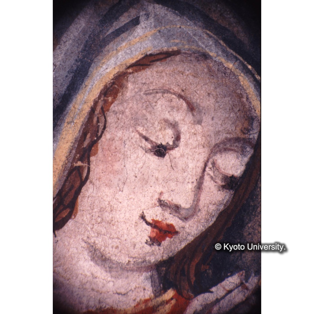 顕微鏡撮影カラー写真（十五玄義第十図：マリア） (1)