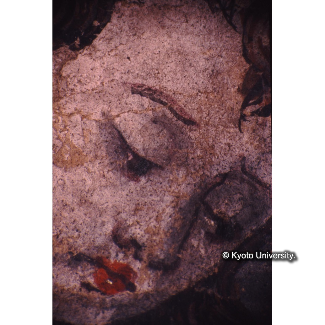 顕微鏡撮影カラー写真（十五玄義第八図：左側人物） (1)