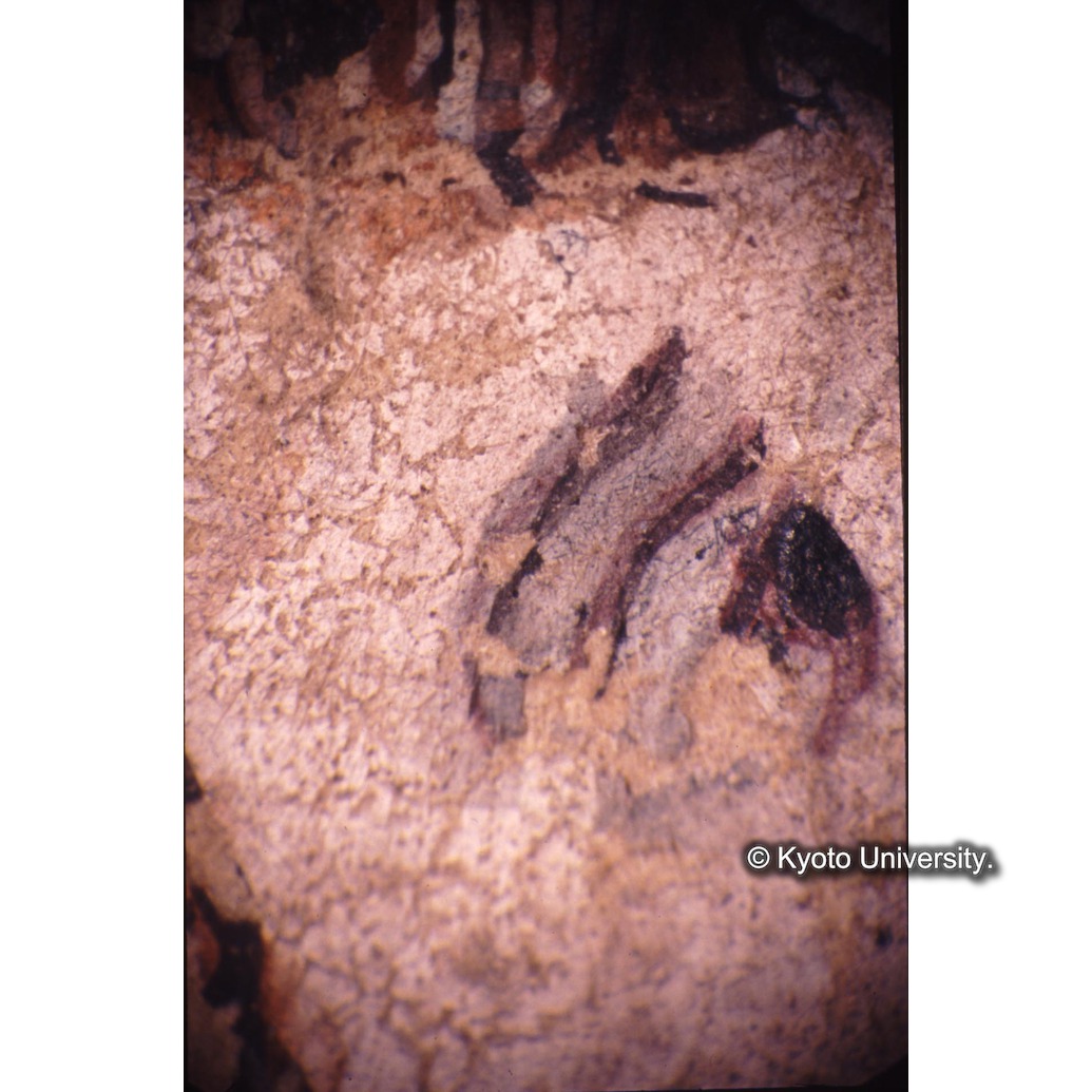 顕微鏡撮影カラー写真（十五玄義第八図：左下側人物目） (1)