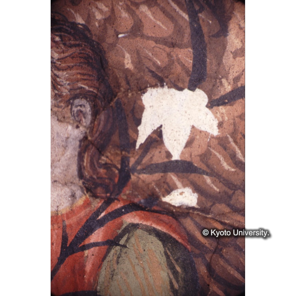 顕微鏡撮影カラー写真（十五玄義第一図：ユリ） (1)