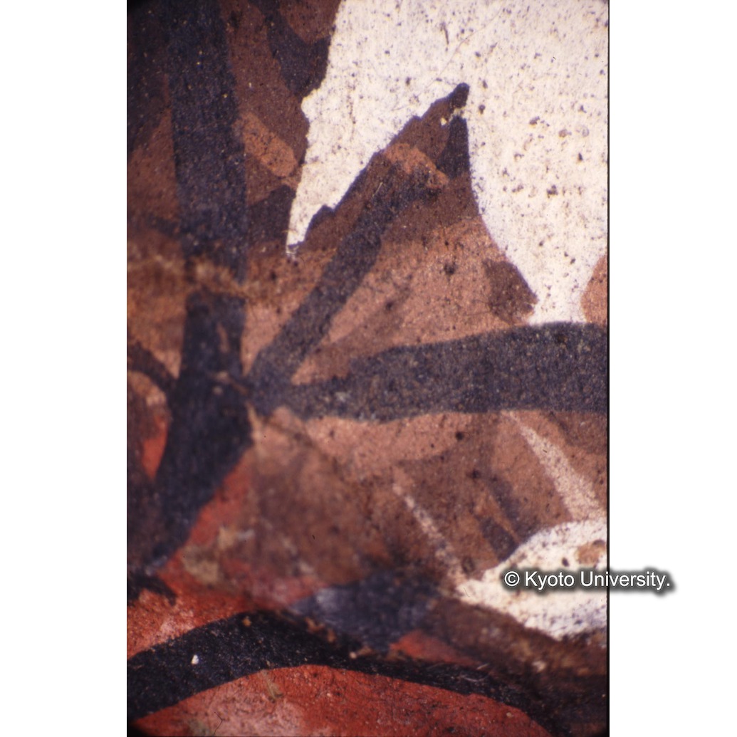 顕微鏡撮影カラー写真（十五玄義第一図：ユリ） (1)