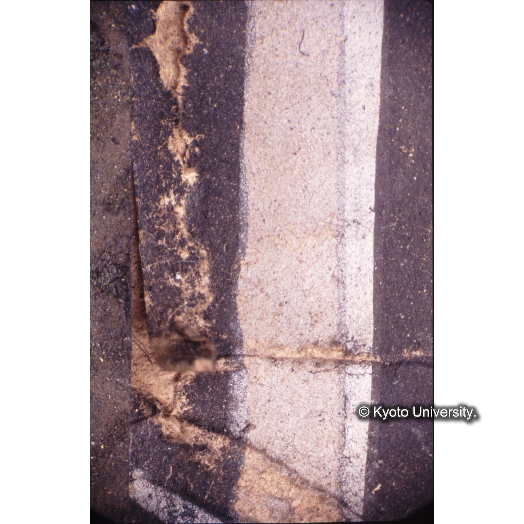 顕微鏡撮影カラー写真（十五玄義第一図：破れ） (1)
