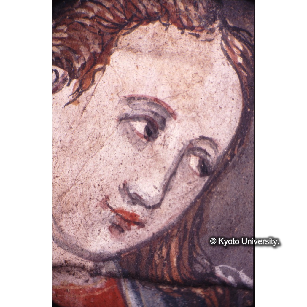 顕微鏡撮影カラー写真（十五玄義第一図：マリア） (1)