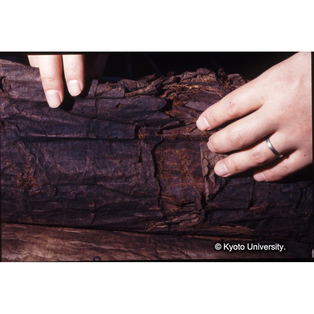 カラー写真（裏面：表具裏面） (1)