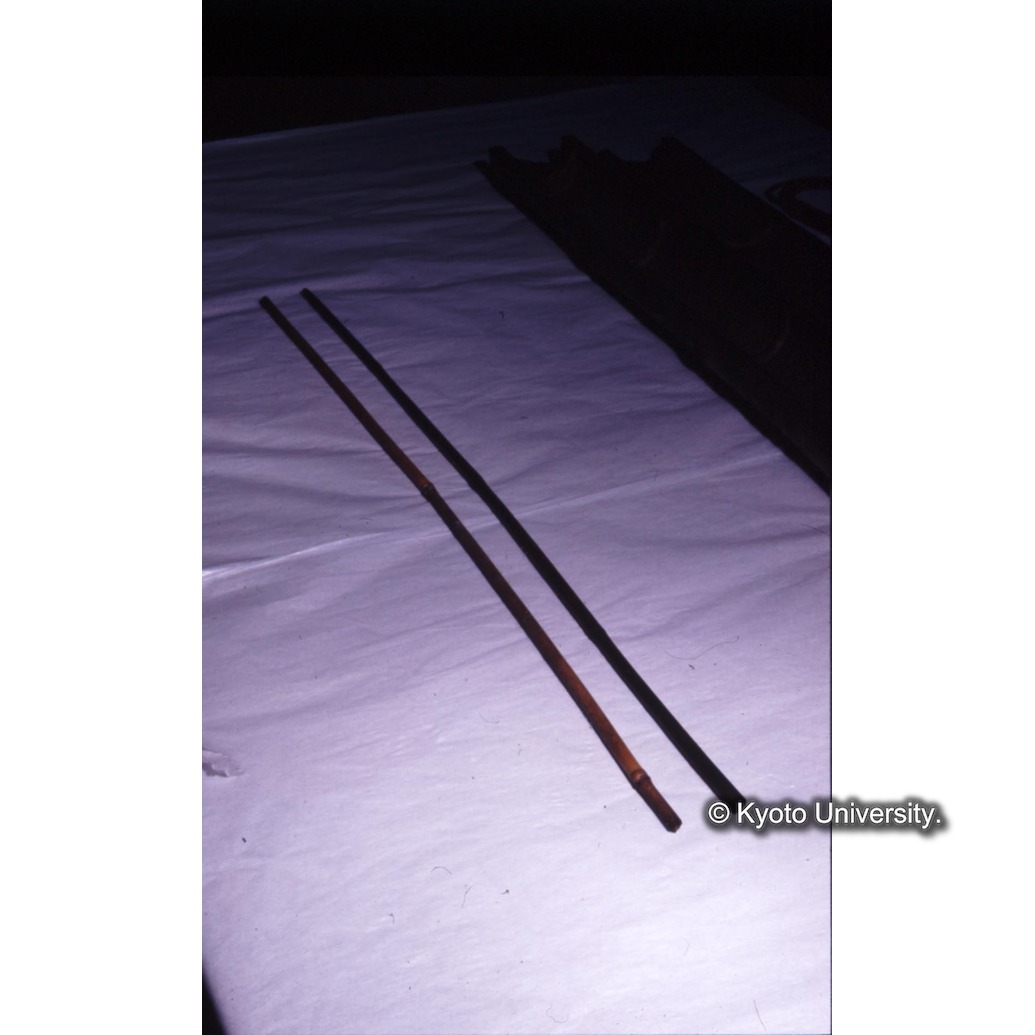 カラー写真（竹軸） (1)