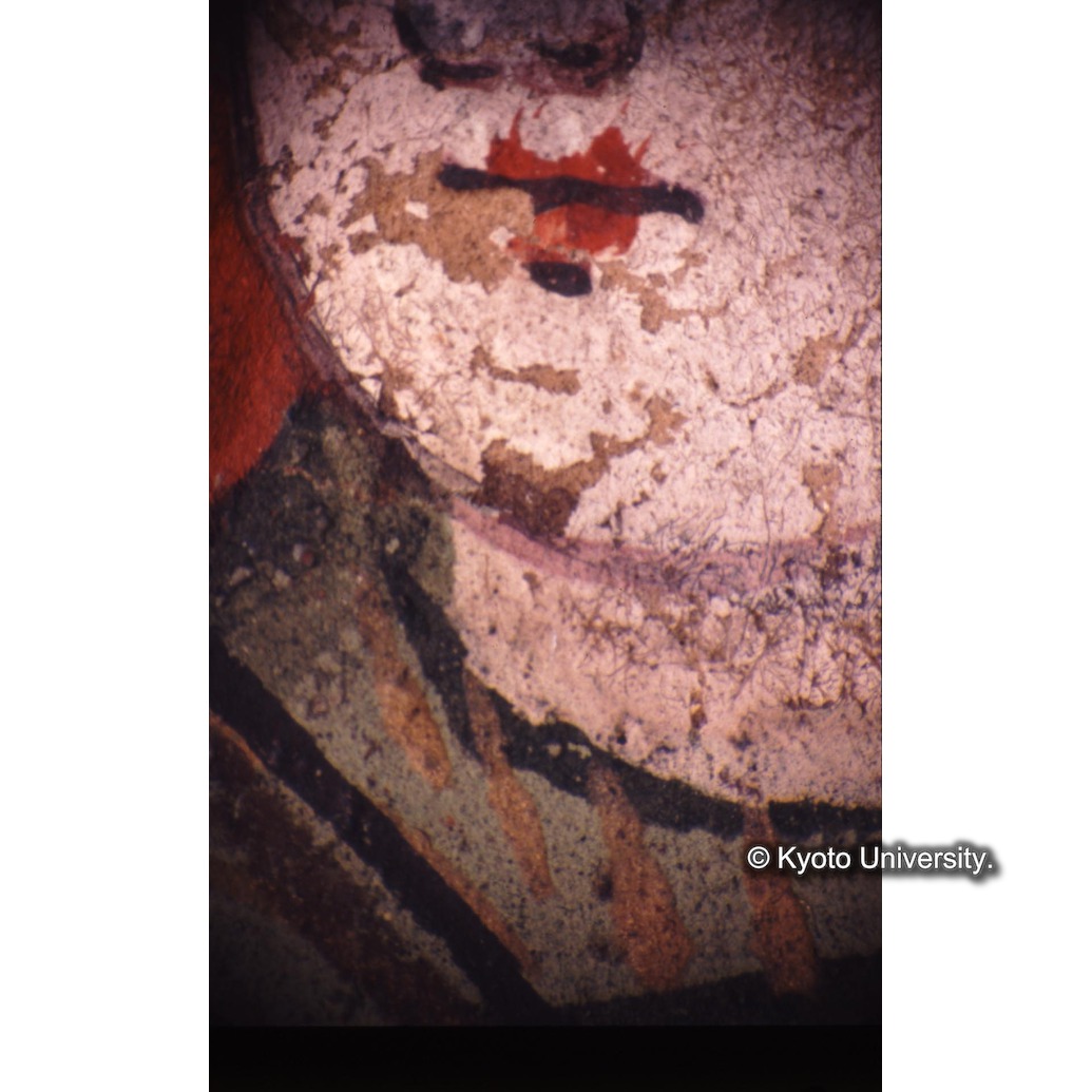 顕微鏡撮影カラー写真（十五玄義第九図：右側人物あご） (1)