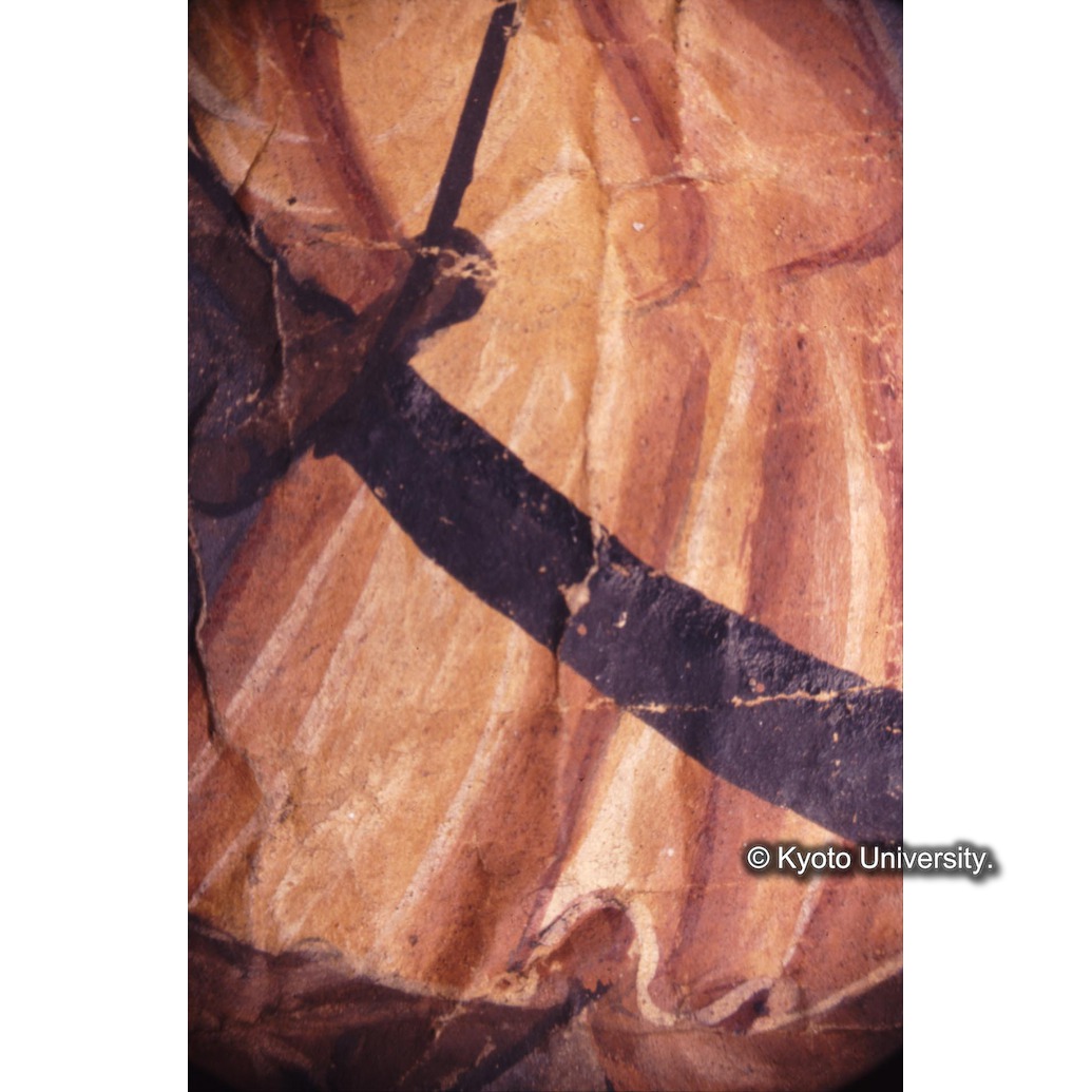 顕微鏡撮影カラー写真（十五玄義第七図：右側人物衣服） (1)