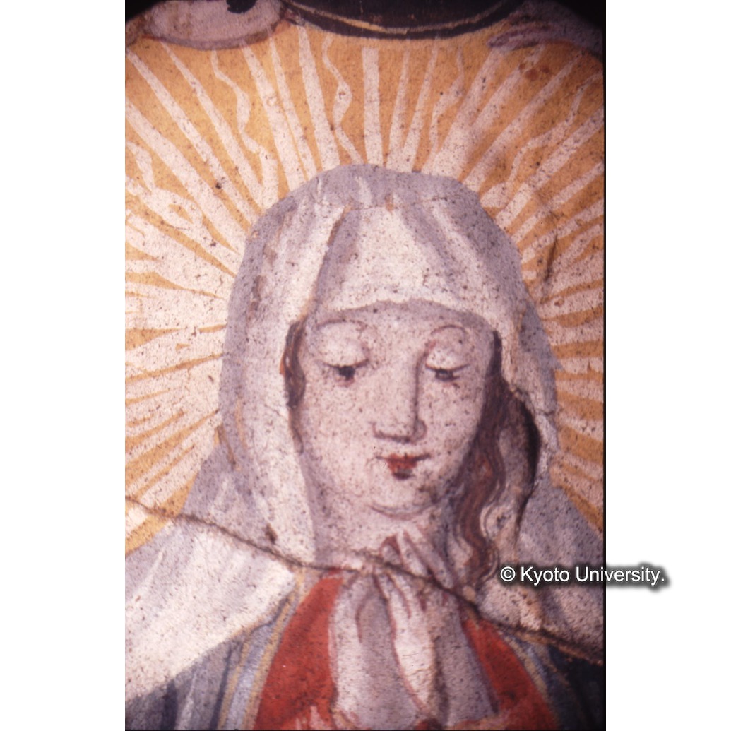 顕微鏡撮影カラー写真（十五玄義第十五図：マリア） (1)