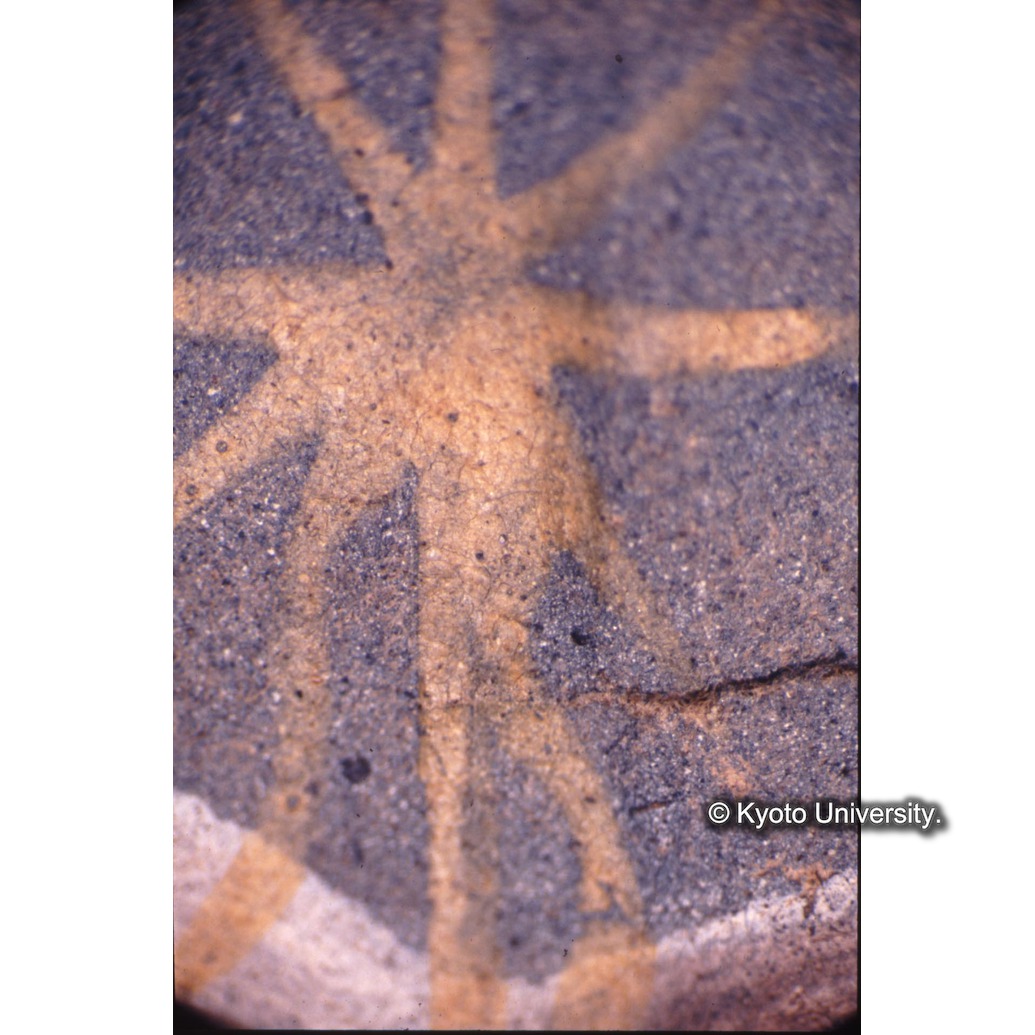 顕微鏡撮影カラー写真（十五玄義第三図：星） (1)