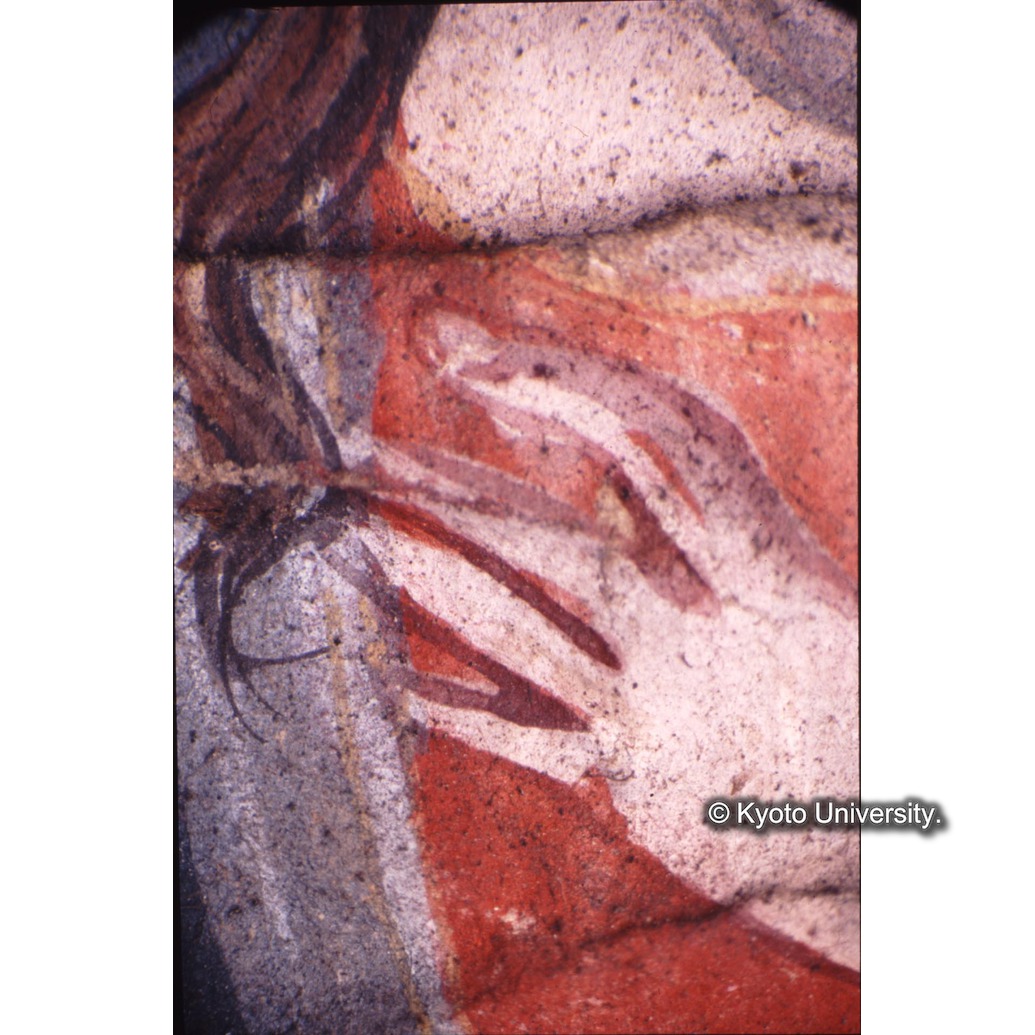 顕微鏡撮影カラー写真（十五玄義第一図：マリア手） (1)