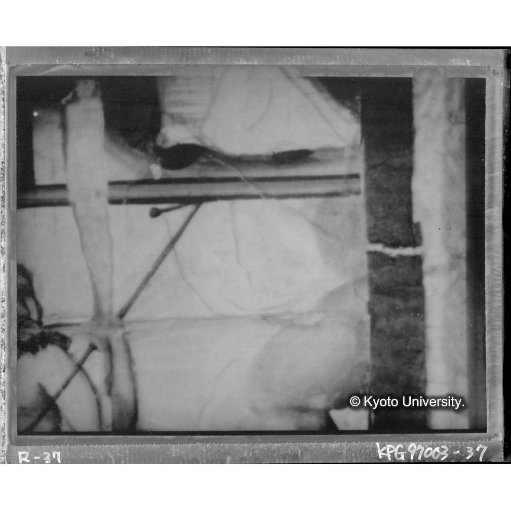 赤外線テレビ撮影画像写真（十五玄義第十図・第十一図境界線付近） (1)