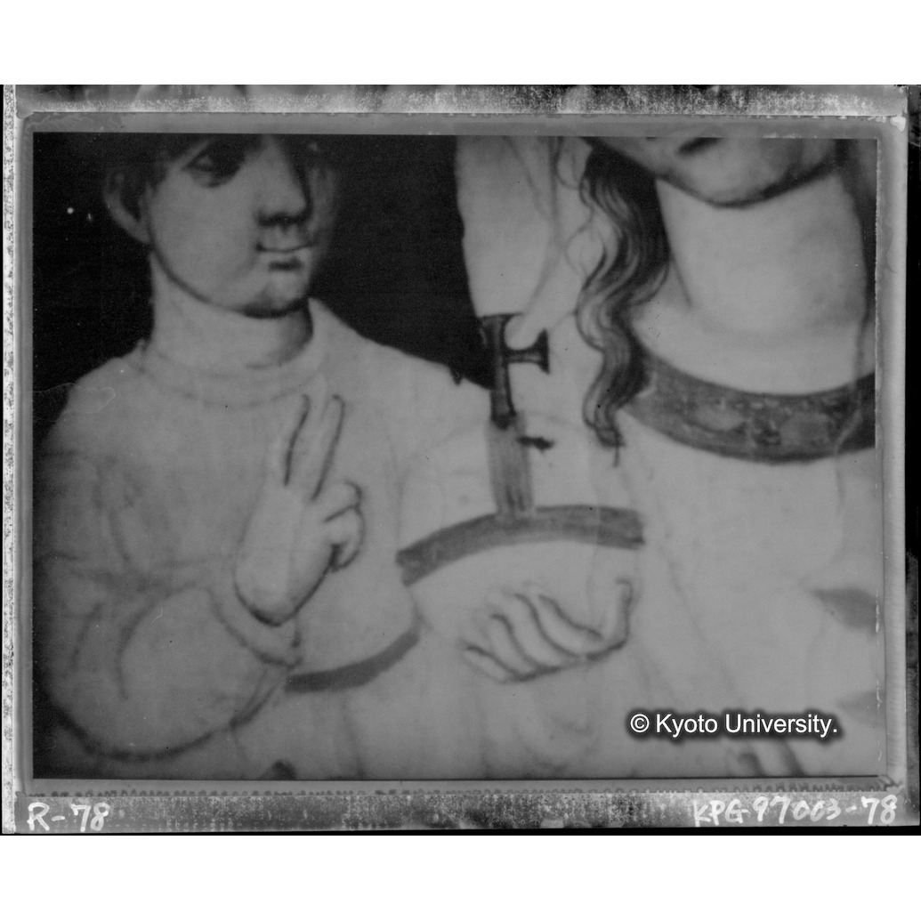 赤外線テレビ撮影画像写真（中央上段） (1)