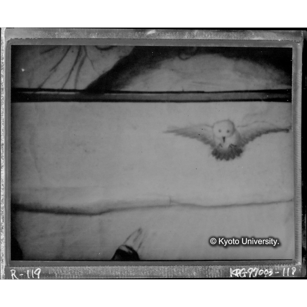 赤外線テレビ撮影画像写真（十五玄義第十三図） (1)