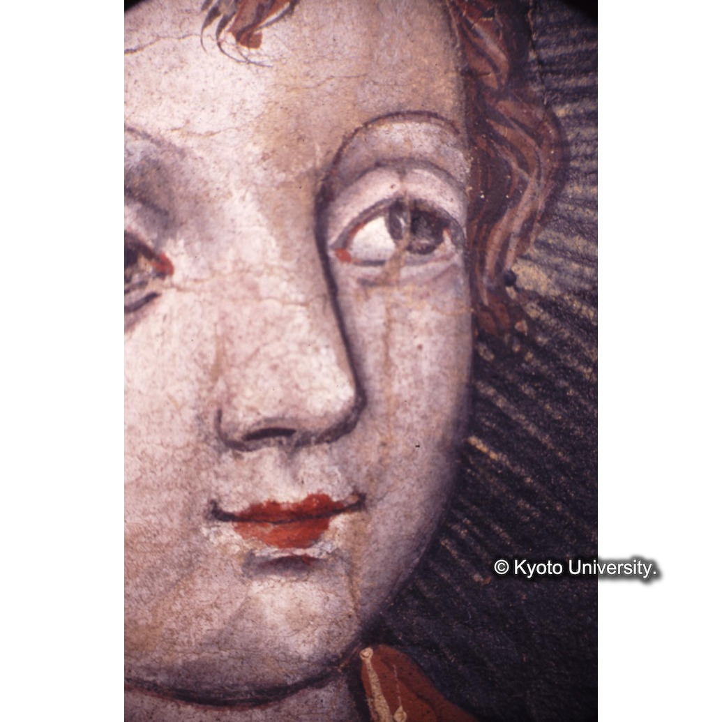 顕微鏡撮影カラー写真（中央上段：キリスト） (1)