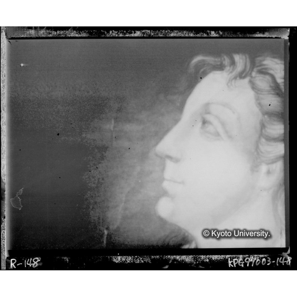 赤外線テレビ撮影画像写真（中央下段） (1)