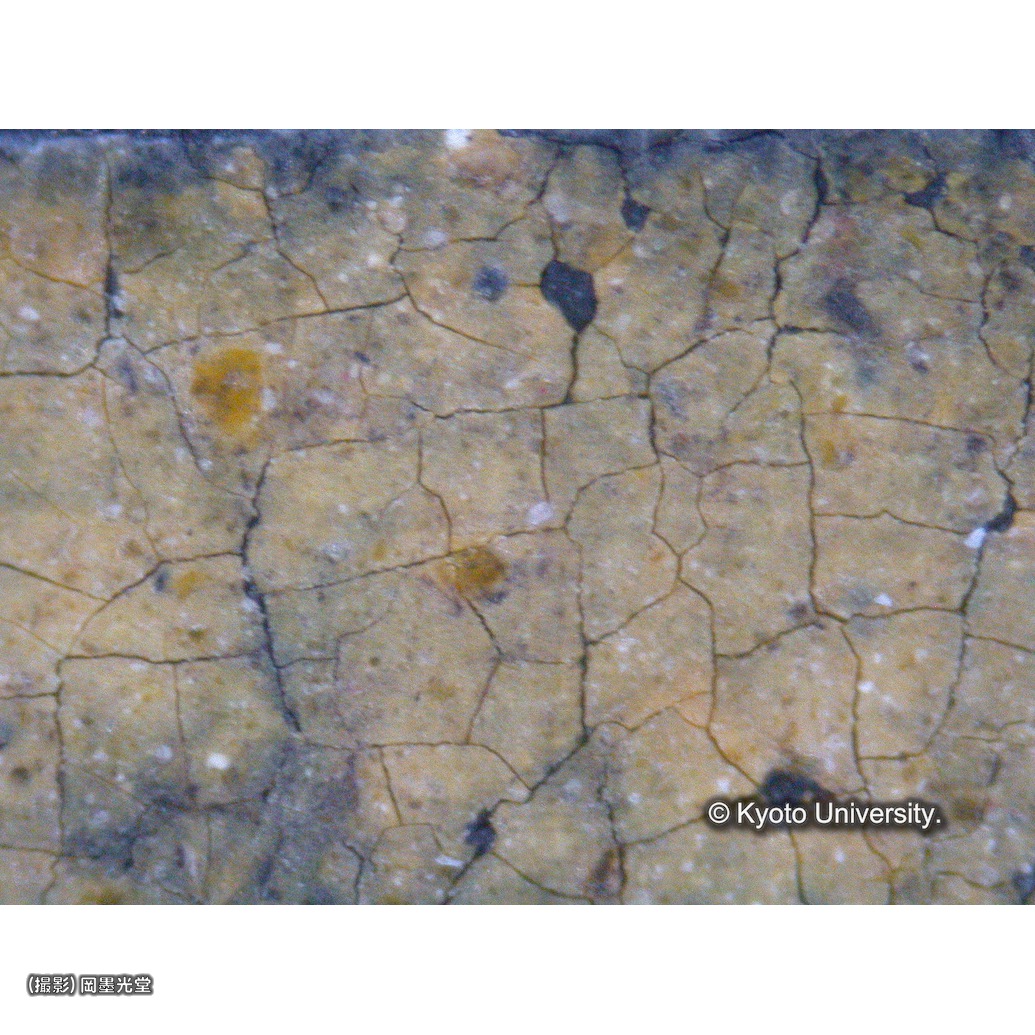 顕微鏡写真（中央上段：マリアの光輪） (1)