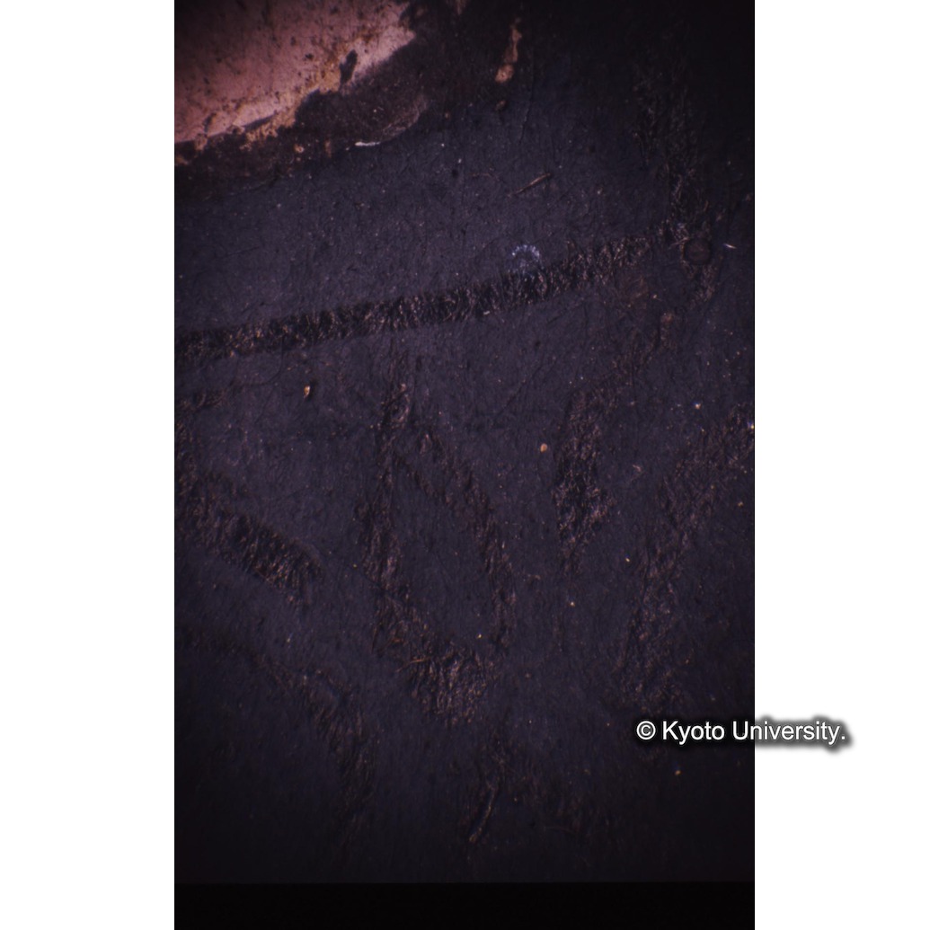 顕微鏡撮影カラー写真（十五玄義第十一図：左下側人物衣服） (1)