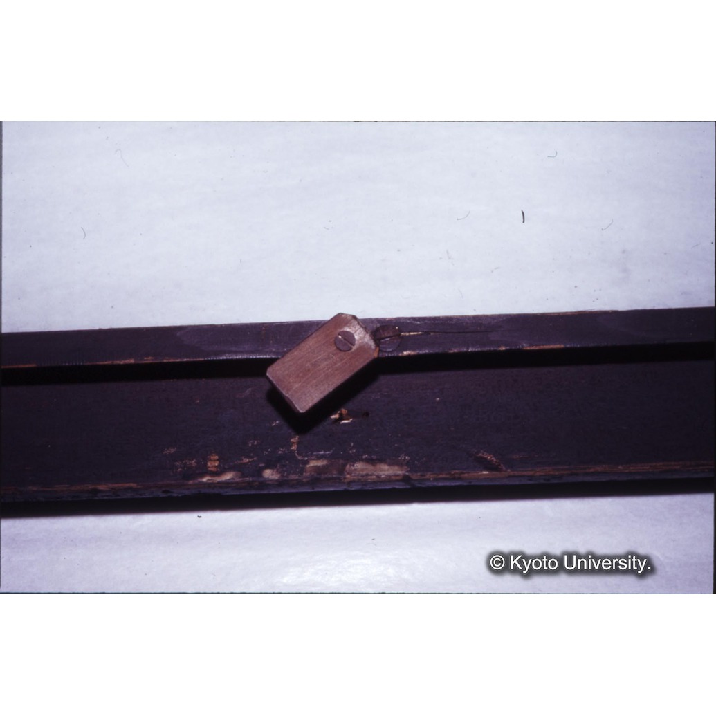 カラー写真（額縁） (1)