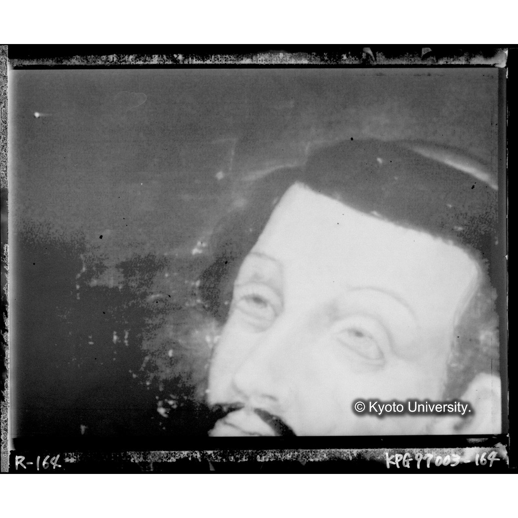 赤外線テレビ撮影画像写真（中央下段） (1)