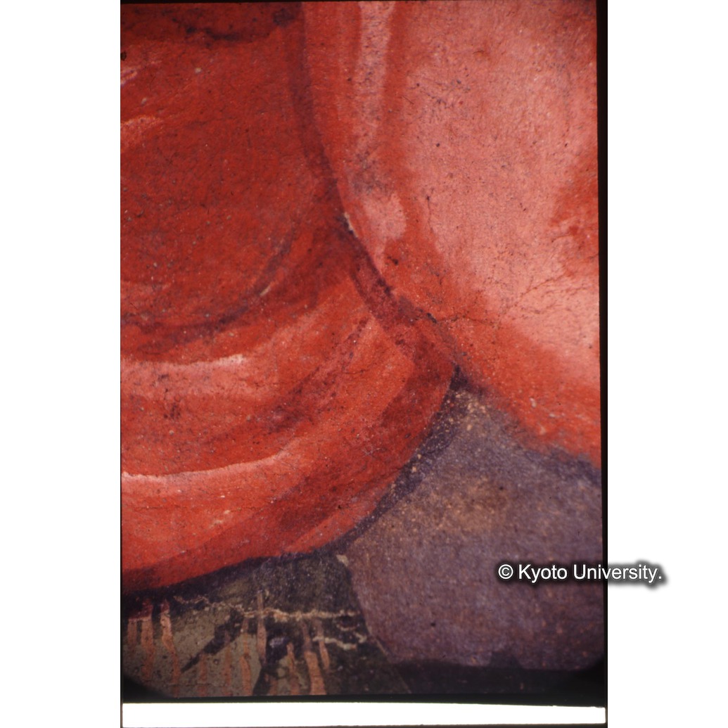 顕微鏡撮影カラー写真（十五玄義第七図：左側人物衣服） (1)