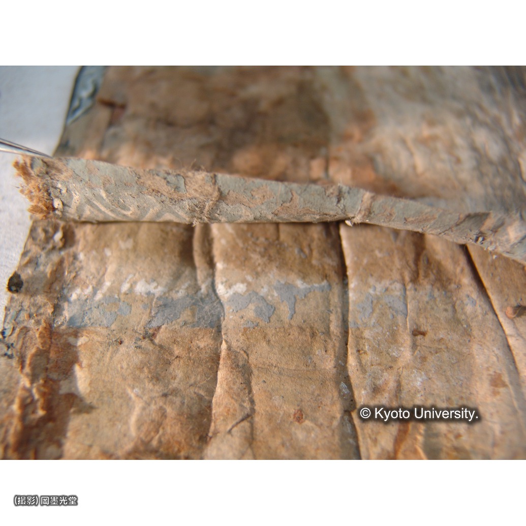 裏打ち除去後（下裂） (1)