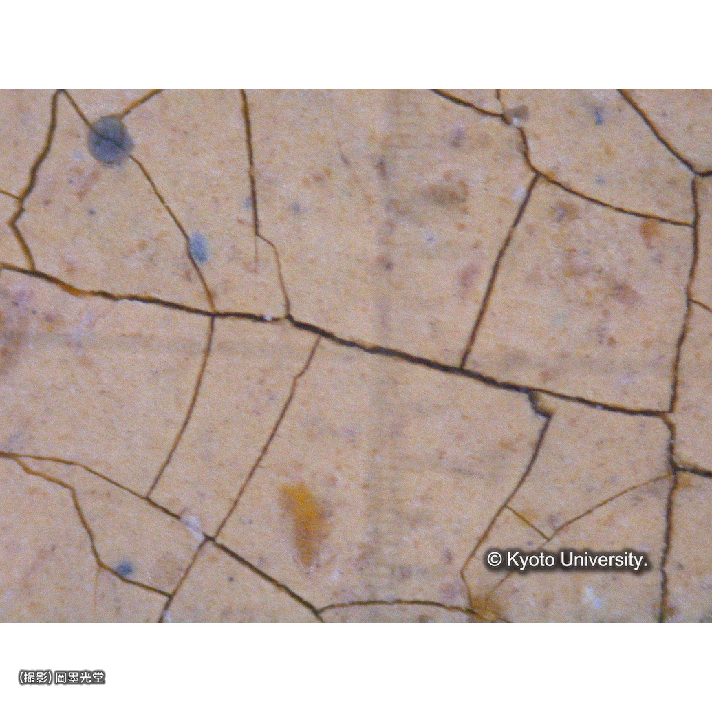 顕微鏡写真（中央文字） (1)