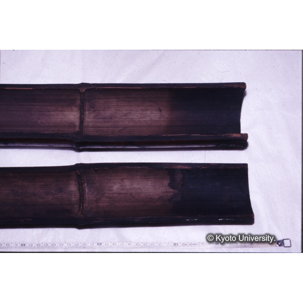 カラー写真（竹筒内側） (1)