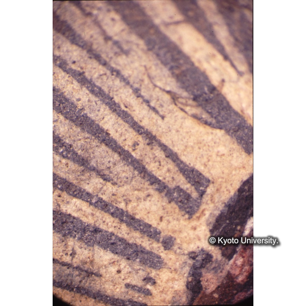 顕微鏡撮影カラー写真（十五玄義第五図：キリスト頭の後光） (1)