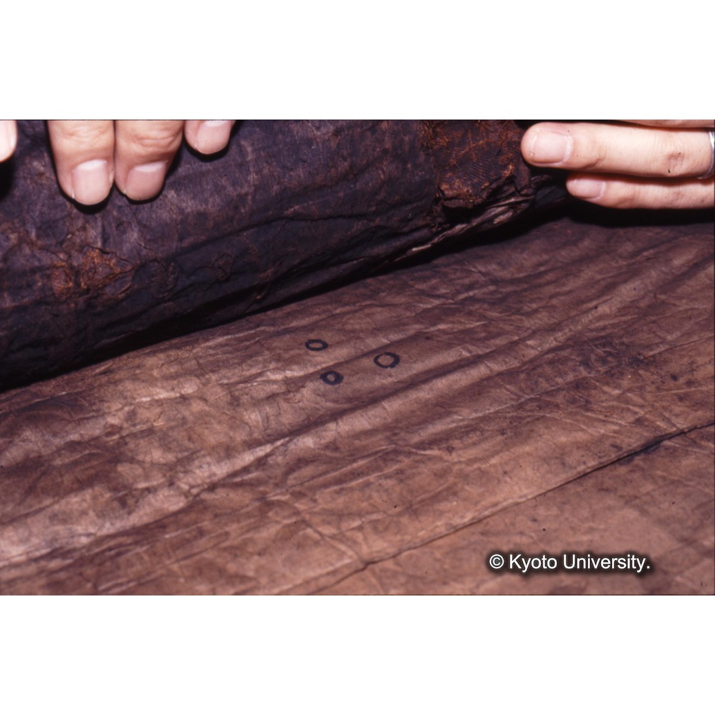 カラー写真（裏面：墨書） (1)