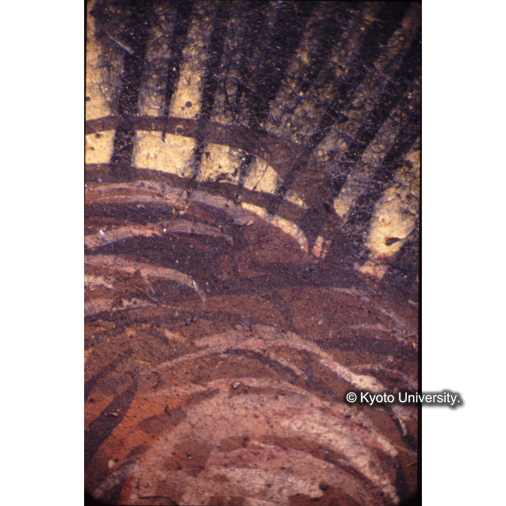 顕微鏡撮影カラー写真（中央上段：キリスト頭の後光） (1)