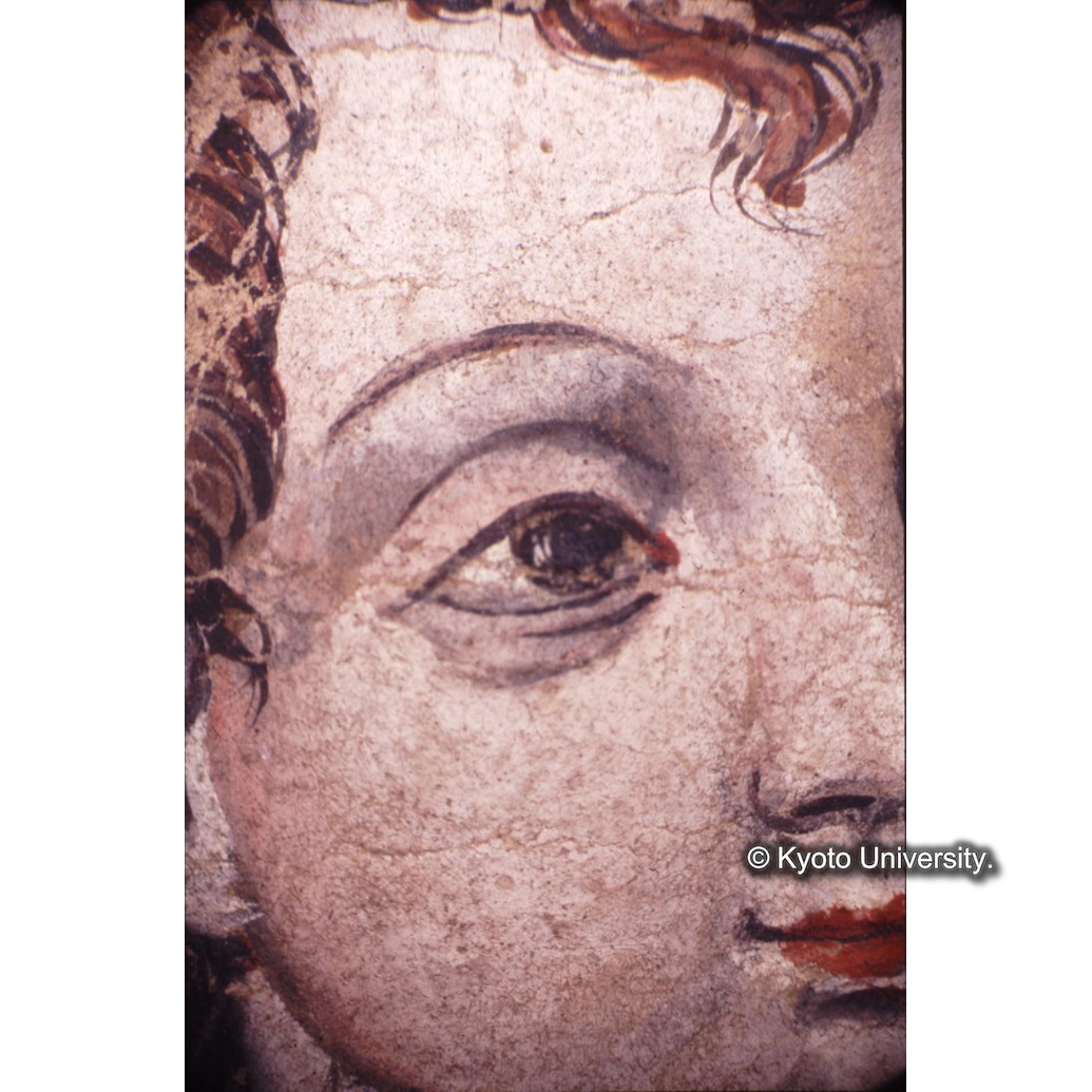 顕微鏡撮影カラー写真（中央上段：キリスト） (1)