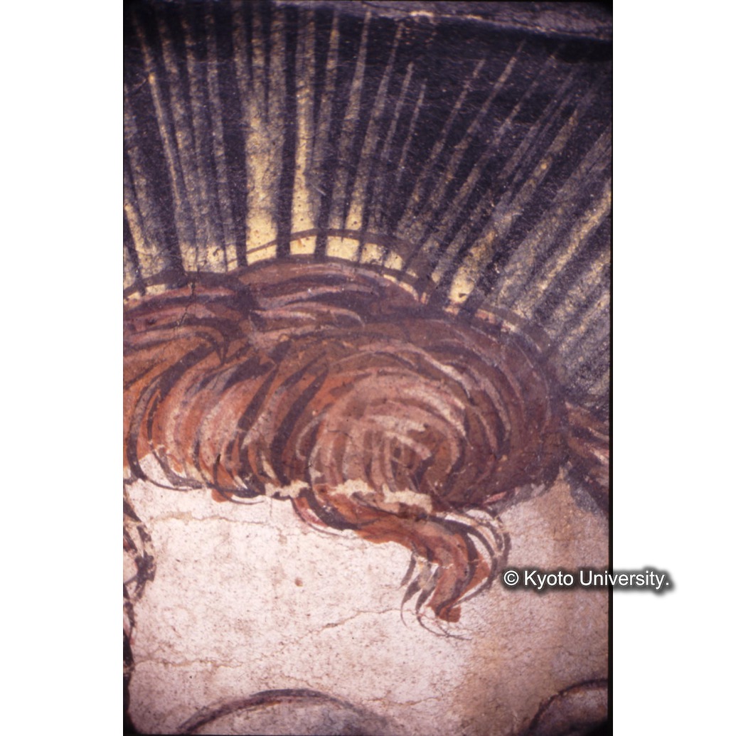 顕微鏡撮影カラー写真（中央上段：キリスト頭の後光） (1)