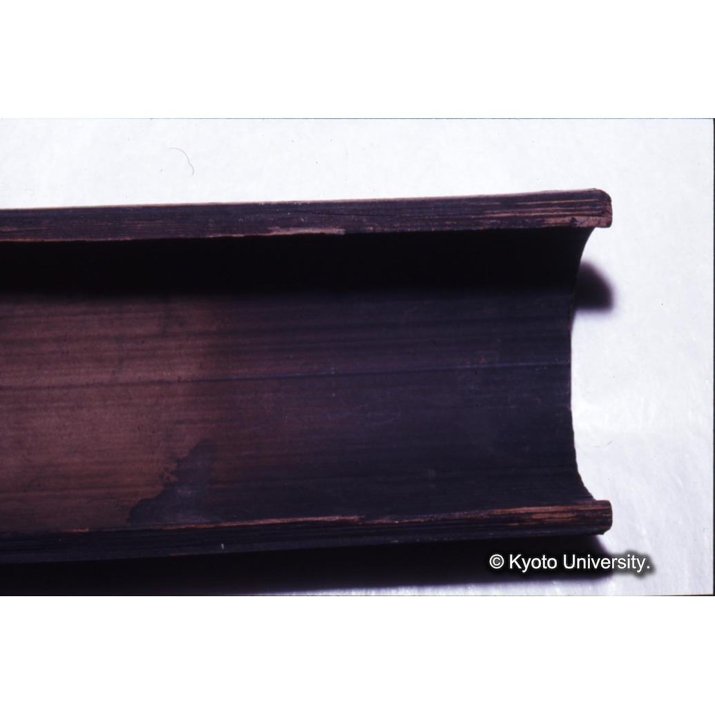 カラー写真（竹筒内側煤） (1)