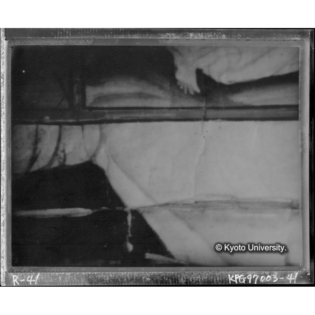 赤外線テレビ撮影画像写真（第九図・中央境界線付近） (1)